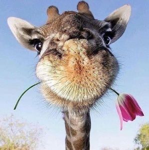 Meet your Posher, Kristine